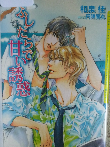 ふしだらで甘い誘惑　和泉桂(著)